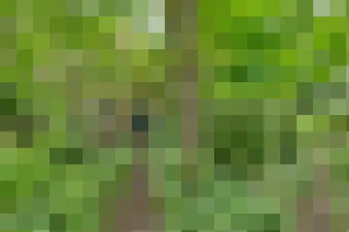 Dorpsweg 68 Schellinkhout thumbnail 31