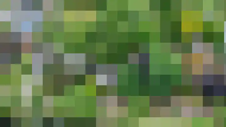 Dorpsweg 68 Schellinkhout thumbnail 33