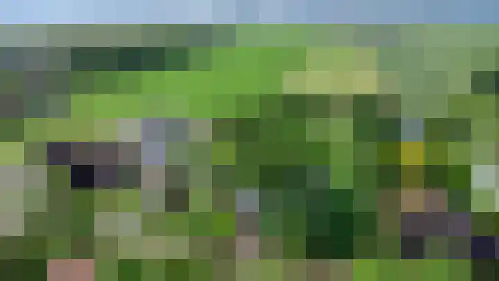 Dorpsweg 68 Schellinkhout thumbnail 34
