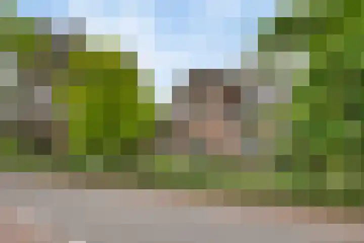 Dorpsweg 68 Schellinkhout thumbnail 37