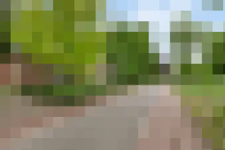Dorpsweg 68 Schellinkhout thumbnail 38