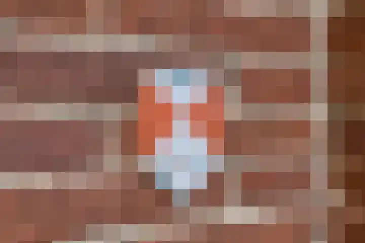 Dorpsweg 68 Schellinkhout thumbnail 4