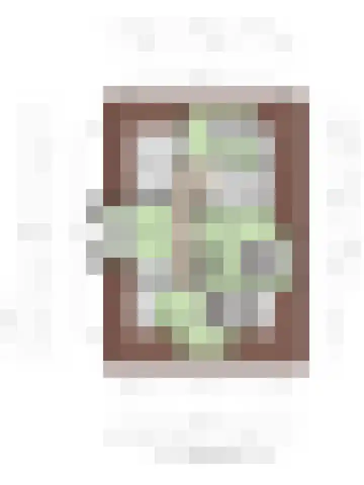 Dorpsweg 68 Schellinkhout thumbnail 41