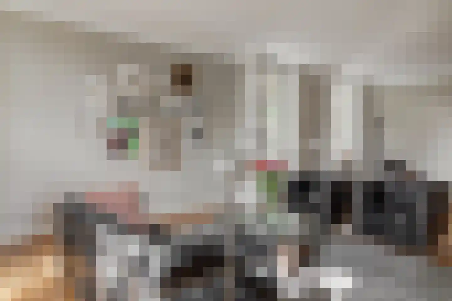 Dorpsweg 81 Twisk thumbnail 12