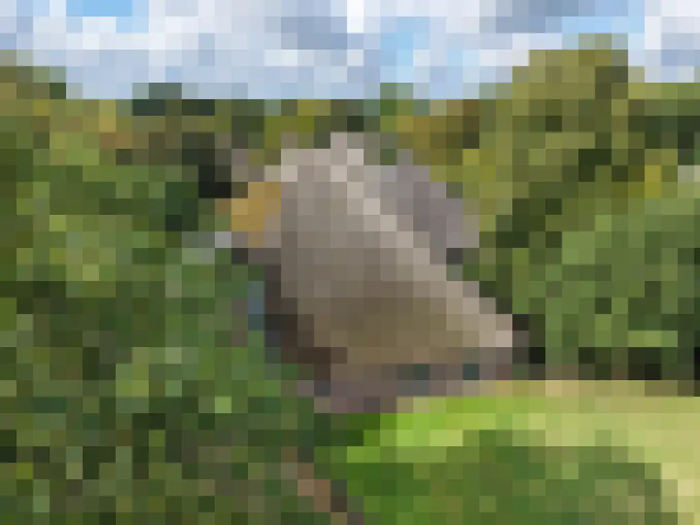 Dorpsweg 81 Twisk thumbnail 32