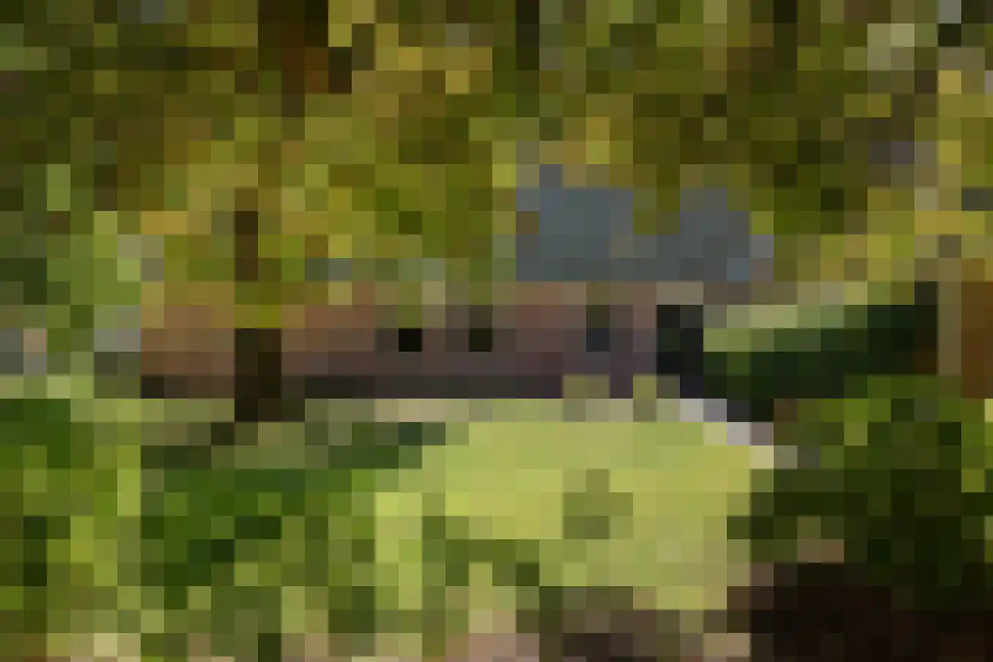 Dorpsweg 81 Twisk thumbnail 33