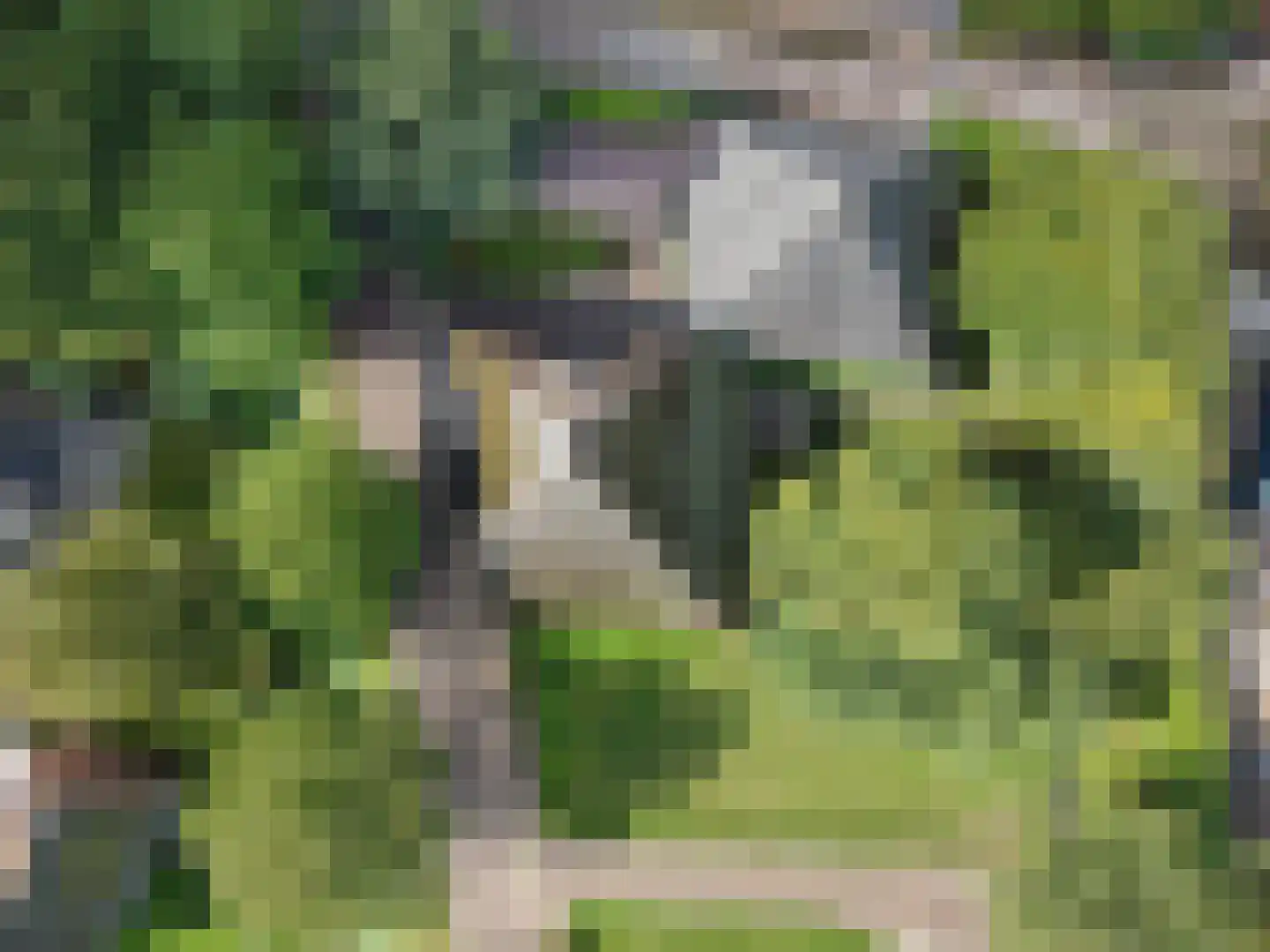 Dorpsweg 81 Twisk thumbnail 38