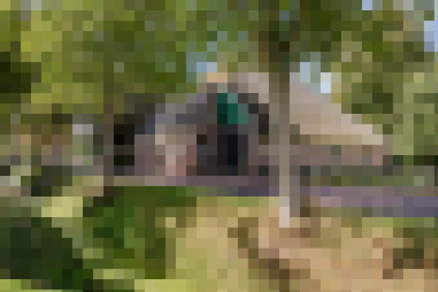 Dorpsweg 81 Twisk thumbnail 4