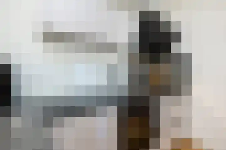 Dorpsweg 93 Sommelsdijk thumbnail 12