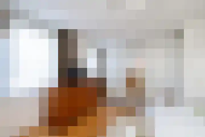 Dorpsweg 93 Sommelsdijk thumbnail 15