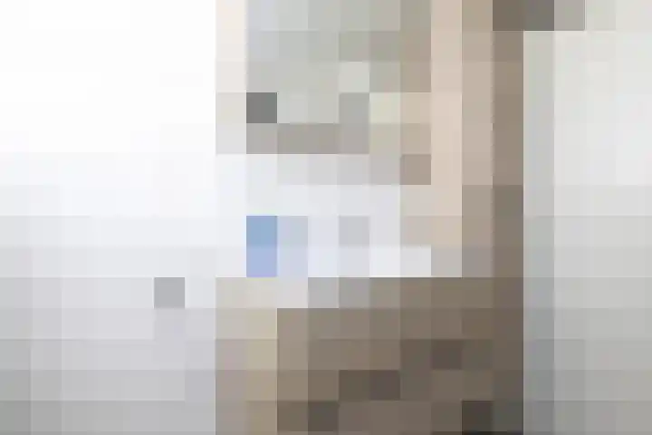 Dorpsweg 93 Sommelsdijk thumbnail 20
