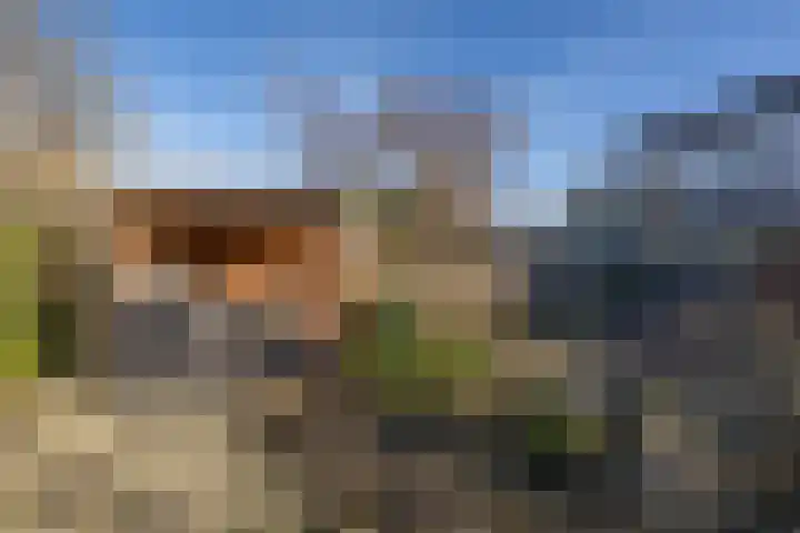 Dorpsweg 93 Sommelsdijk thumbnail 25