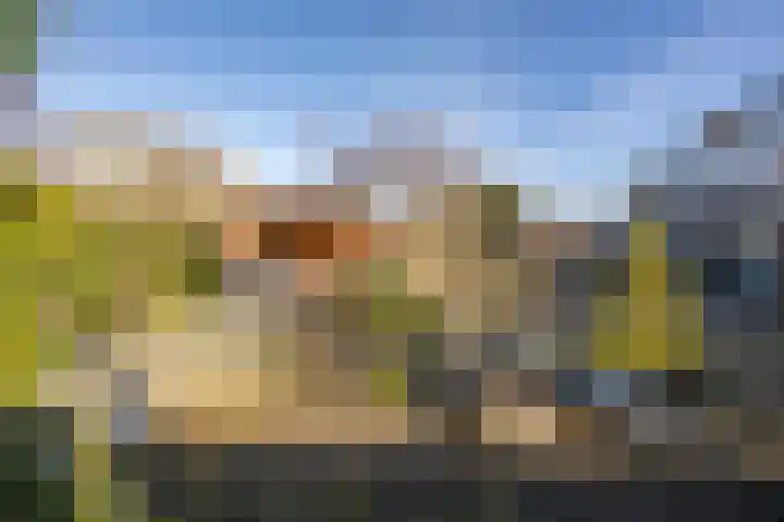 Dorpsweg 93 Sommelsdijk thumbnail 26