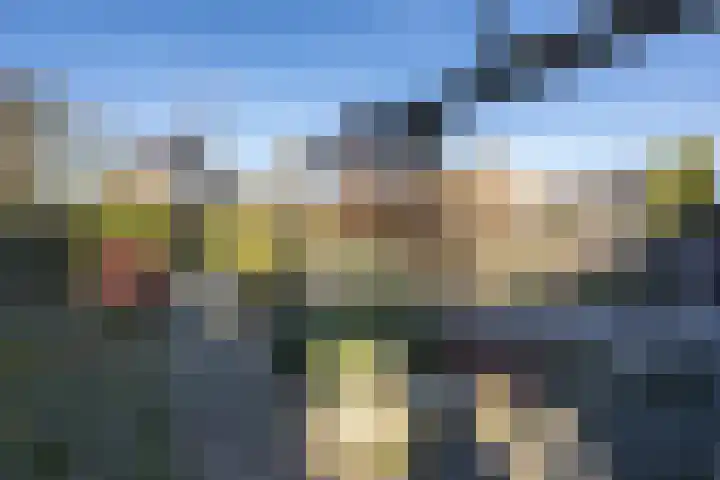 Dorpsweg 93 Sommelsdijk thumbnail 29