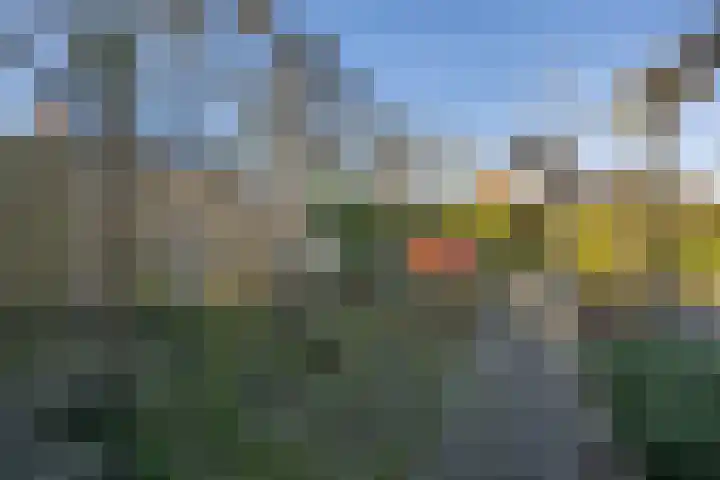 Dorpsweg 93 Sommelsdijk thumbnail 30