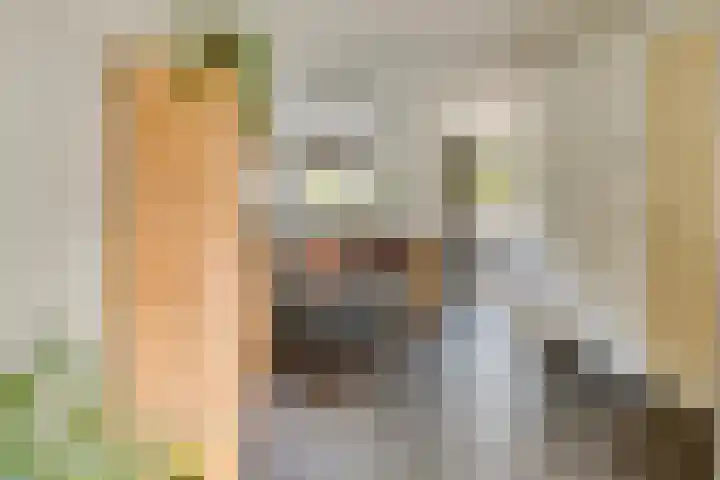 Dorpswei 30 Herveld thumbnail 13