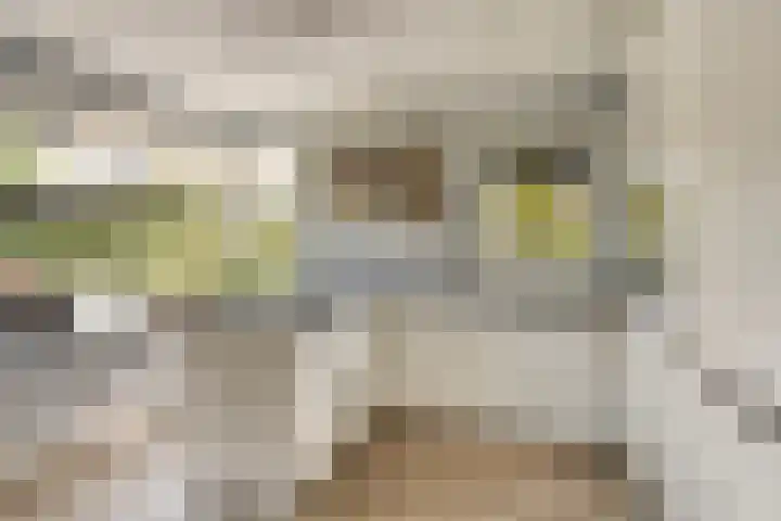 Dorpswei 30 Herveld thumbnail 16