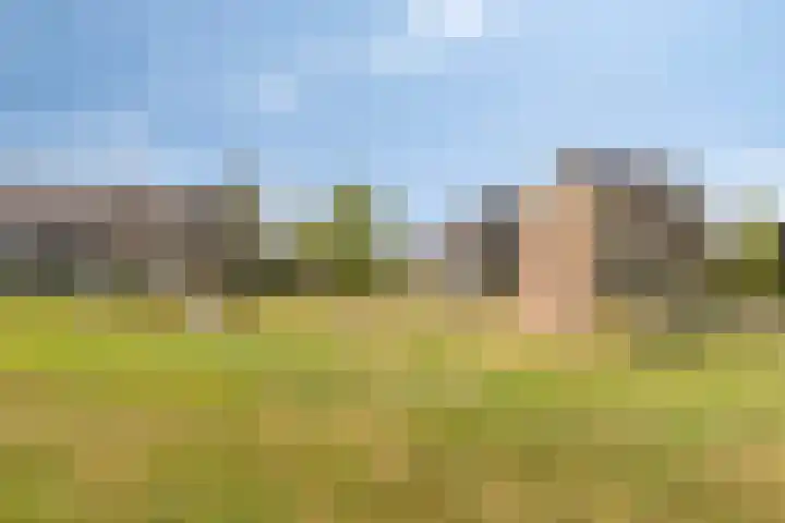 Dorpswei 30 Herveld thumbnail 39
