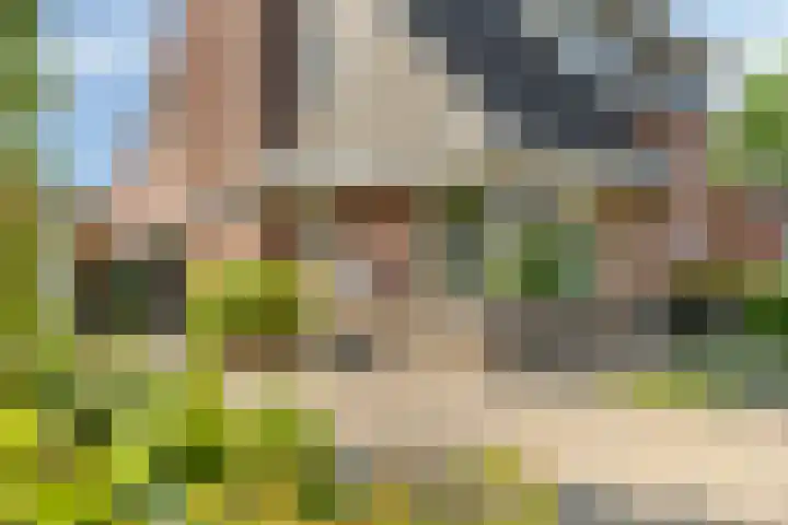 Dorpswei 30 Herveld thumbnail 7