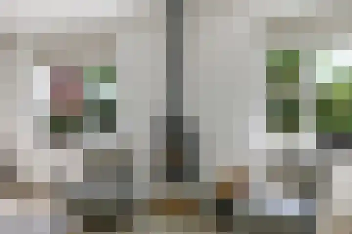 Dorpswei 32 Herveld thumbnail 16