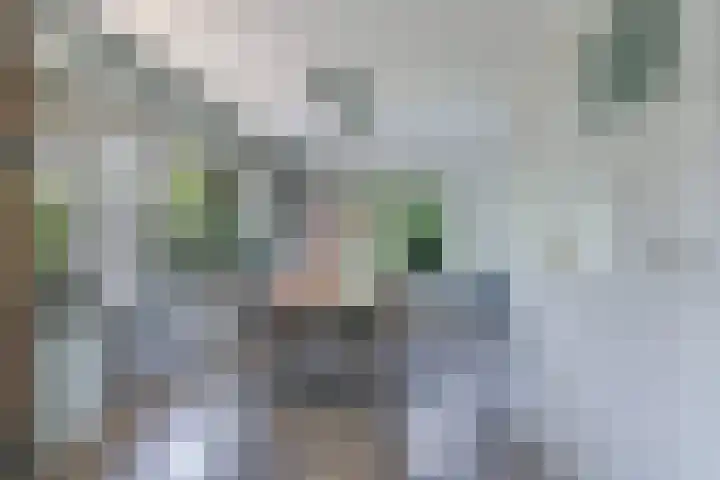 Dorpswei 32 Herveld thumbnail 21