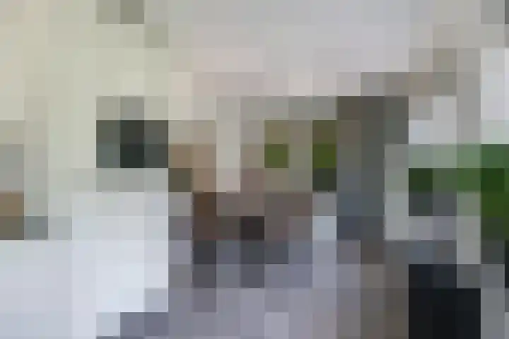 Dorpswei 32 Herveld thumbnail 26