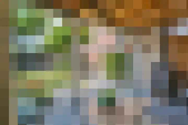 Dorpswei 32 Herveld thumbnail 4