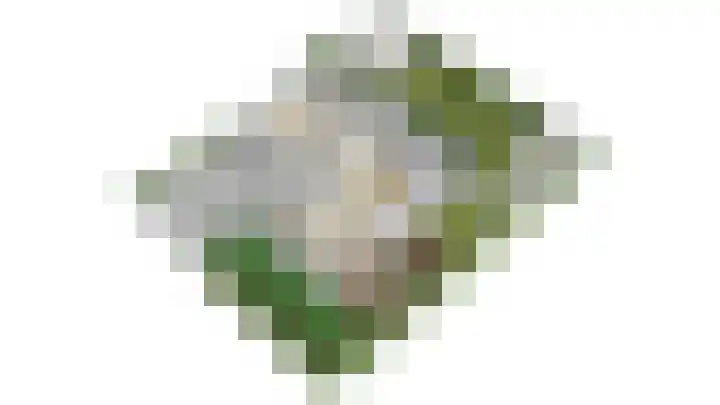 Dorpswei 32 Herveld thumbnail 48