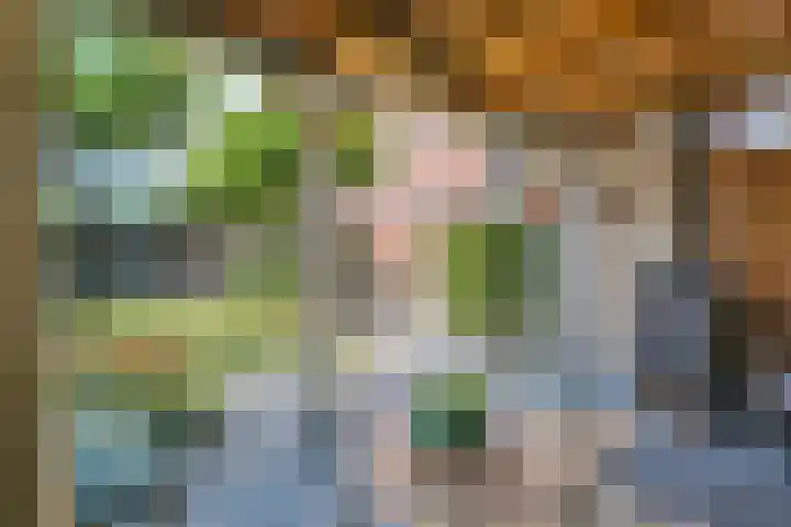 Dorpswei 32 Herveld thumbnail 56