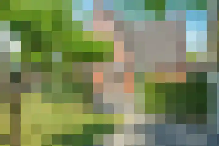 Dorpswei 32 Herveld thumbnail 57