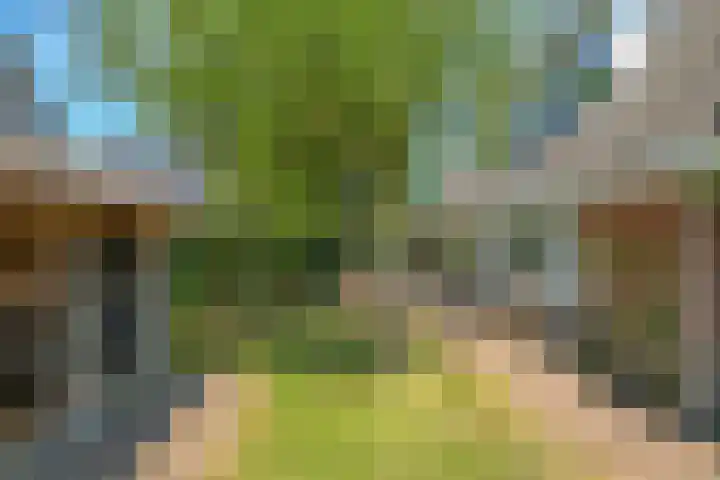 Dorpswei 32 Herveld thumbnail 59