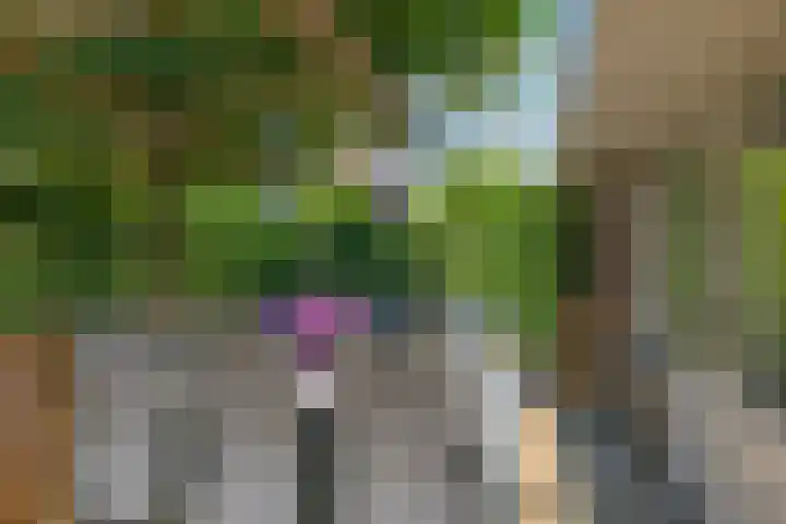 Dorpswei 32 Herveld thumbnail 63