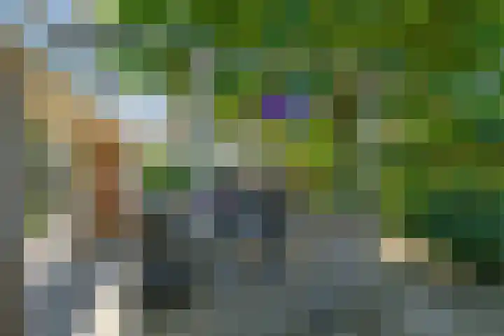 Dorpswei 32 Herveld thumbnail 64