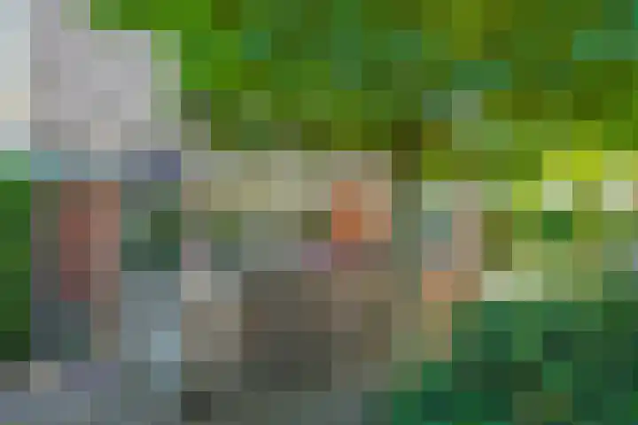 Dorpswei 32 Herveld thumbnail 65