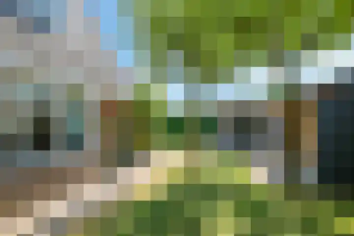 Dorpswei 32 Herveld thumbnail 66