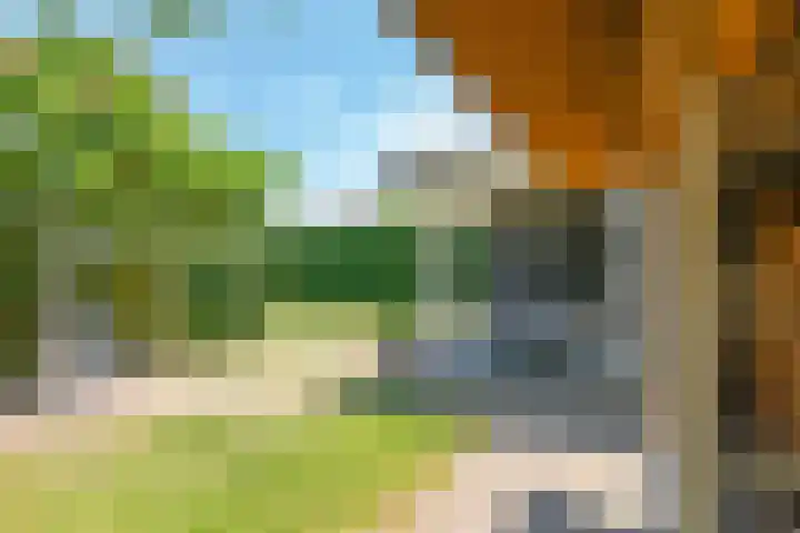 Dorpswei 32 Herveld thumbnail 68