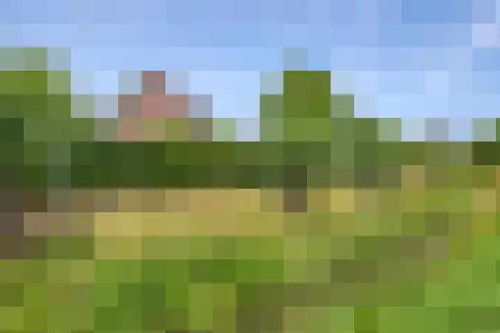 Dorpswei 32 Herveld thumbnail 82