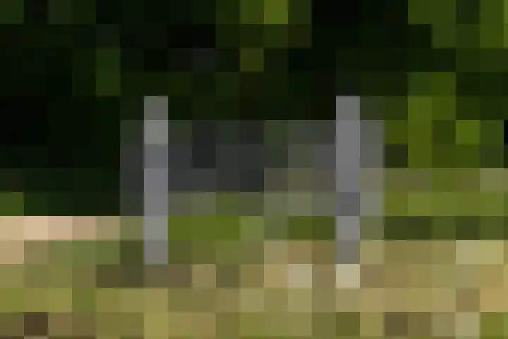 Dorpswei 32 Herveld thumbnail 88