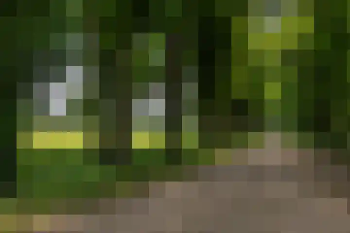 Dorpswei 32 Herveld thumbnail 90