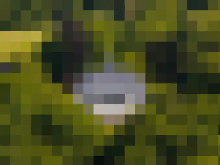 Dorpswei 32 Herveld thumbnail 92