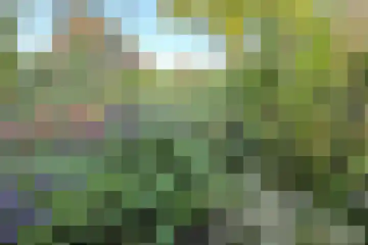 Dorpszicht 1 Abcoude thumbnail 25