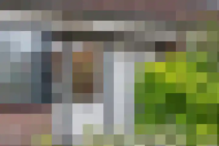 Dorpszicht 1 Abcoude thumbnail 5