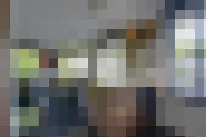 Dors 9 Amsterdam thumbnail 17
