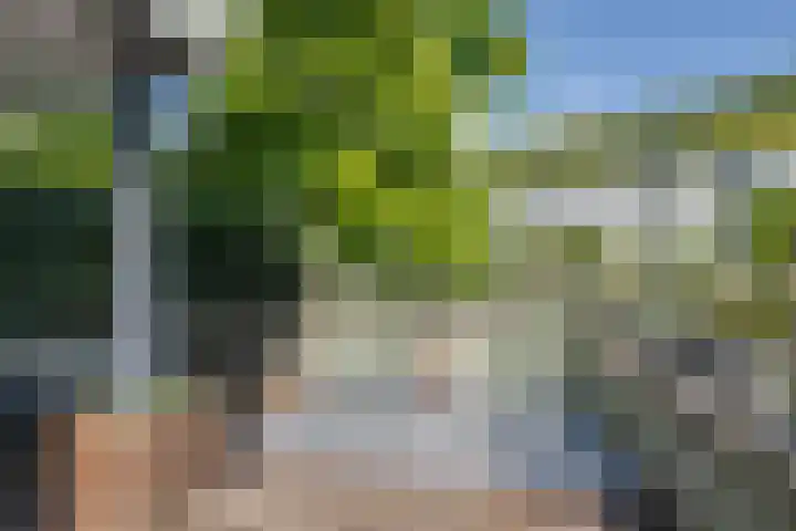 Dors 9 Amsterdam thumbnail 32