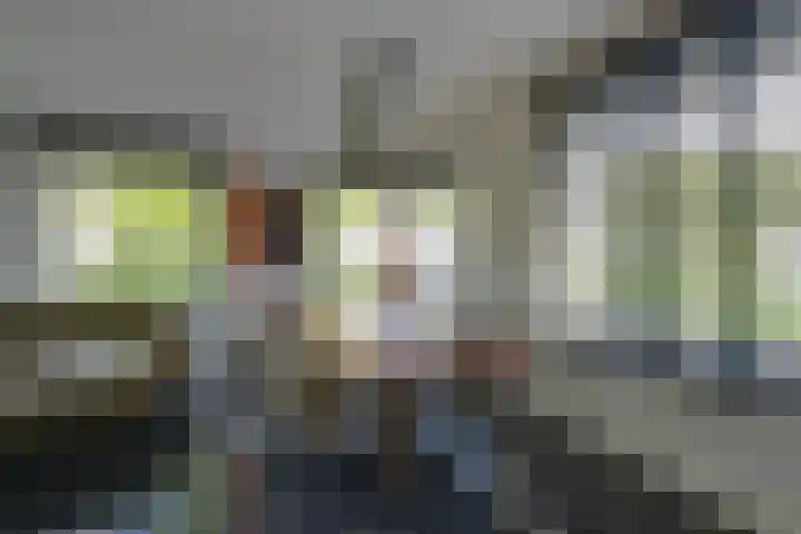 Dors 9 Amsterdam thumbnail 9