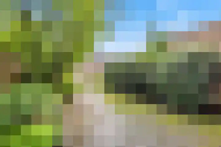 Dorscamp 8 Houten thumbnail 31