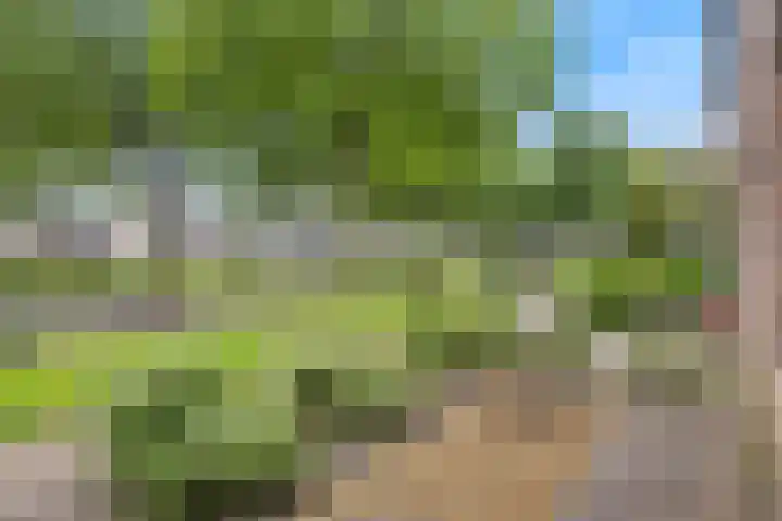 Dorscamp 8 Houten thumbnail 36
