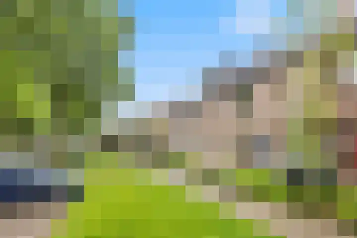 Dorscamp 8 Houten thumbnail 37