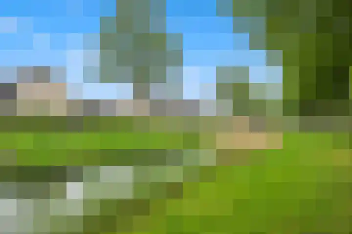 Dorscamp 8 Houten thumbnail 38