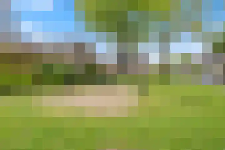 Dorscamp 8 Houten thumbnail 39